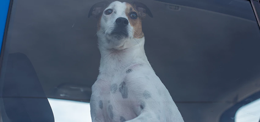 Car Lockout Solutions in Antioch, California